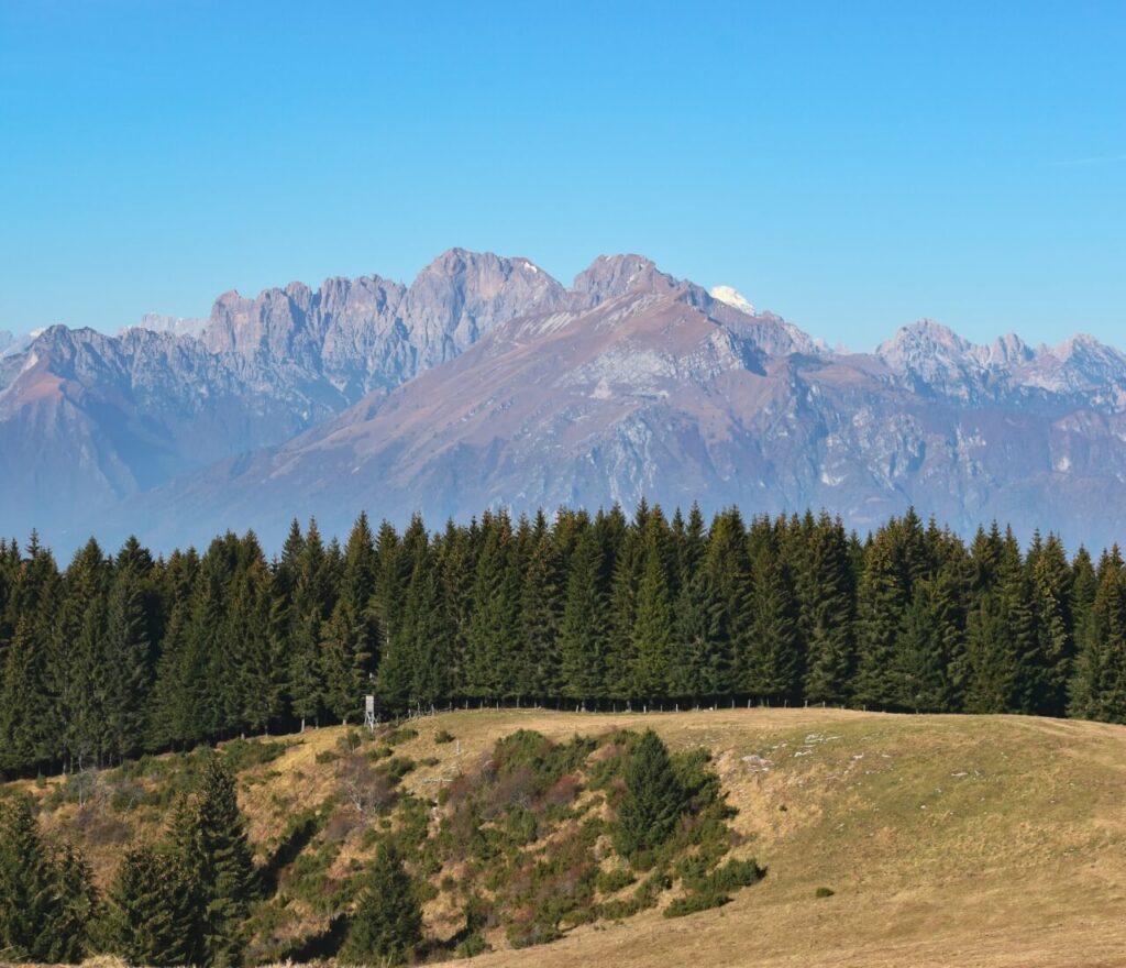 Bosco del cansiglio